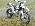 casse TI MOTO - pieces detachees Moto pour pièces AJP 200 PR4